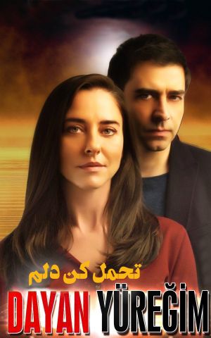 تحمل کن دلم