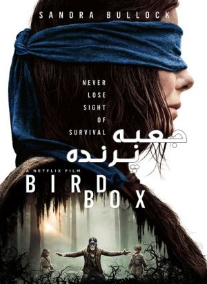 جعبه پرنده