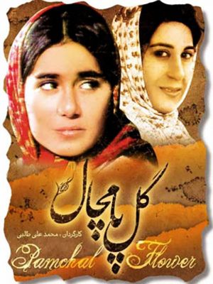 گل پامچال